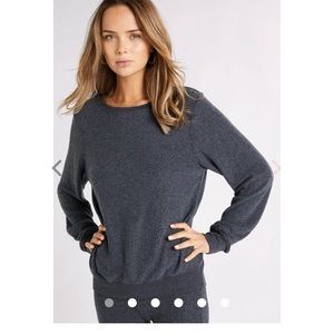 Wildfox Gray Sweater